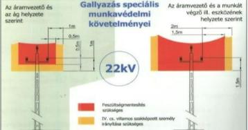 Gallyazási munkálatok 2025 Gallyazási munkálatok 2025